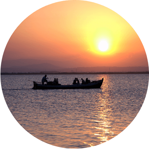 Excursión en barca por la Albufera