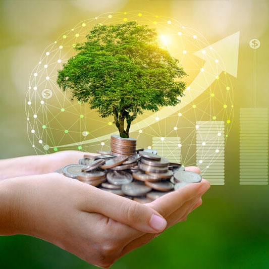 curso-online-el-secreto-del-dinero-abundante-4